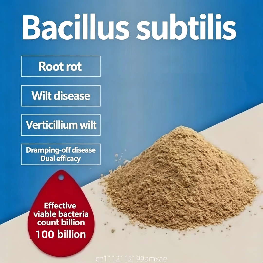 Aquarium Plant Fertilizer - Pó de Bacillus Subtilis de Alta