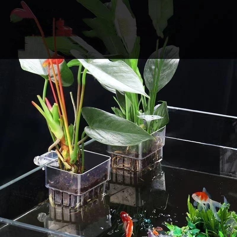 Vaso Hidropônico Suspenso Tran - Aquarium Plant Easy To Grow avaliação e preço