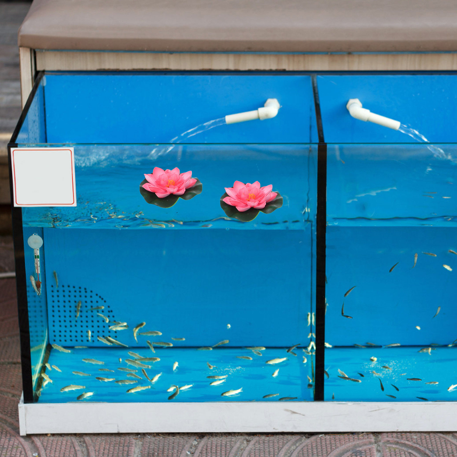 12 Peças de Lírios de Água Art - Aquarium Planted avaliação e preço