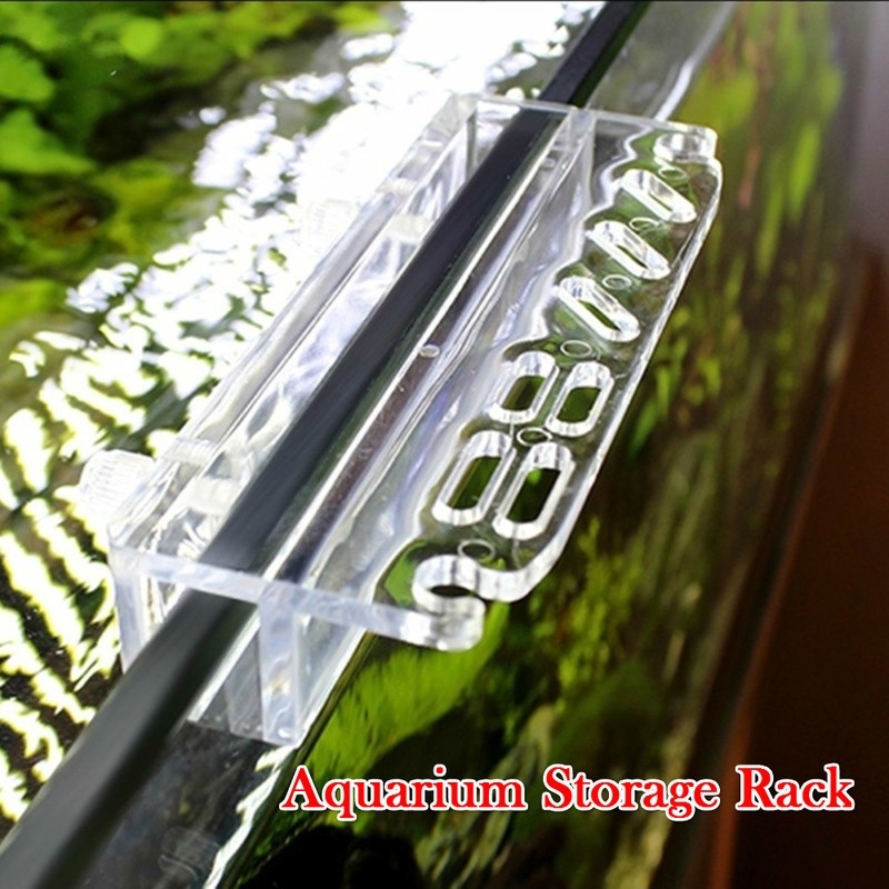 1 pçs novo aquário planta ferr - Aquarium Plant Iron avaliação e preço