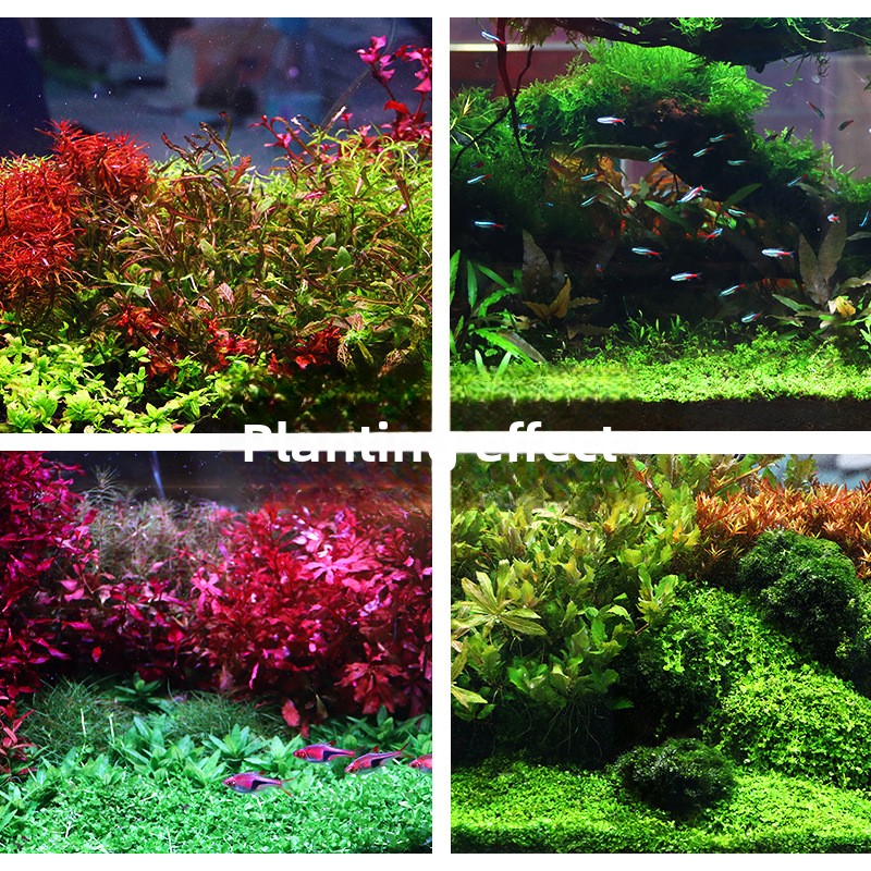 SYSENCIAGA Substrato de aquári - Aquarium Plant Fertilizer avaliação e preço