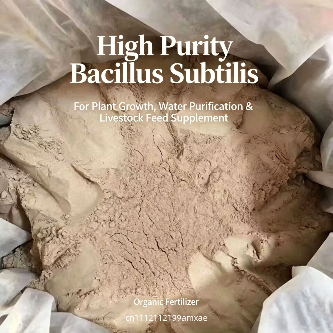 Pó de Bacillus Subtilis de Alt - Aquarium Plant Fertilizer avaliação e preço