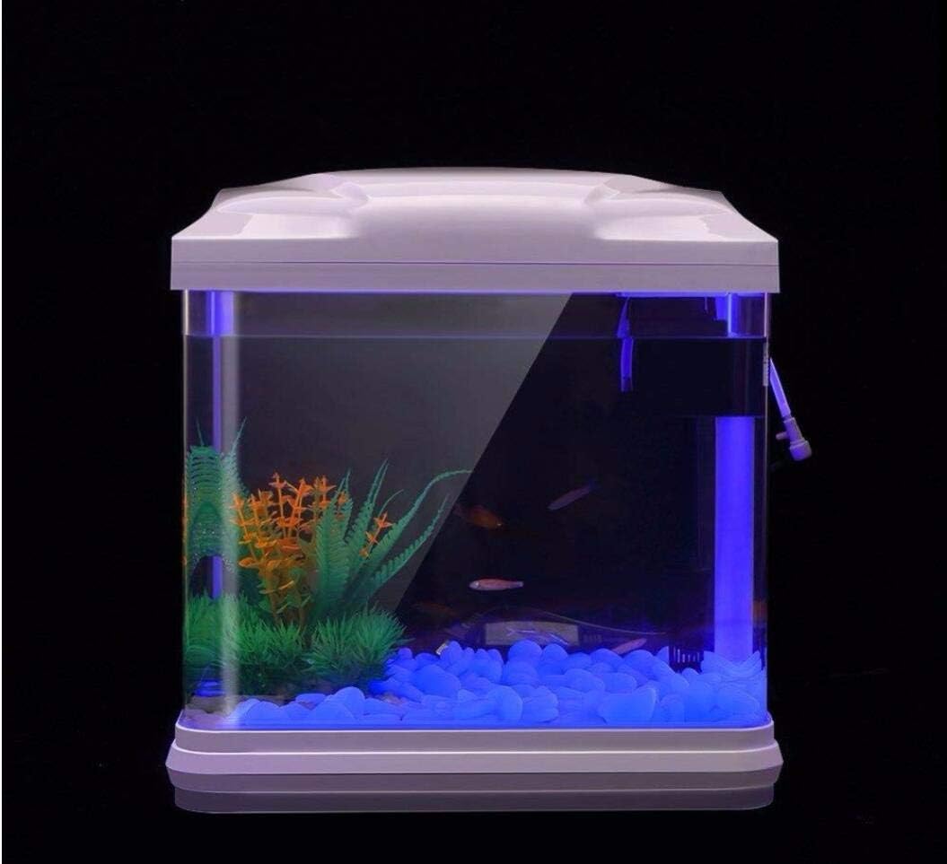 Rochas do tanque de peixes bri - Aquarium Planting Ideas avaliação e preço