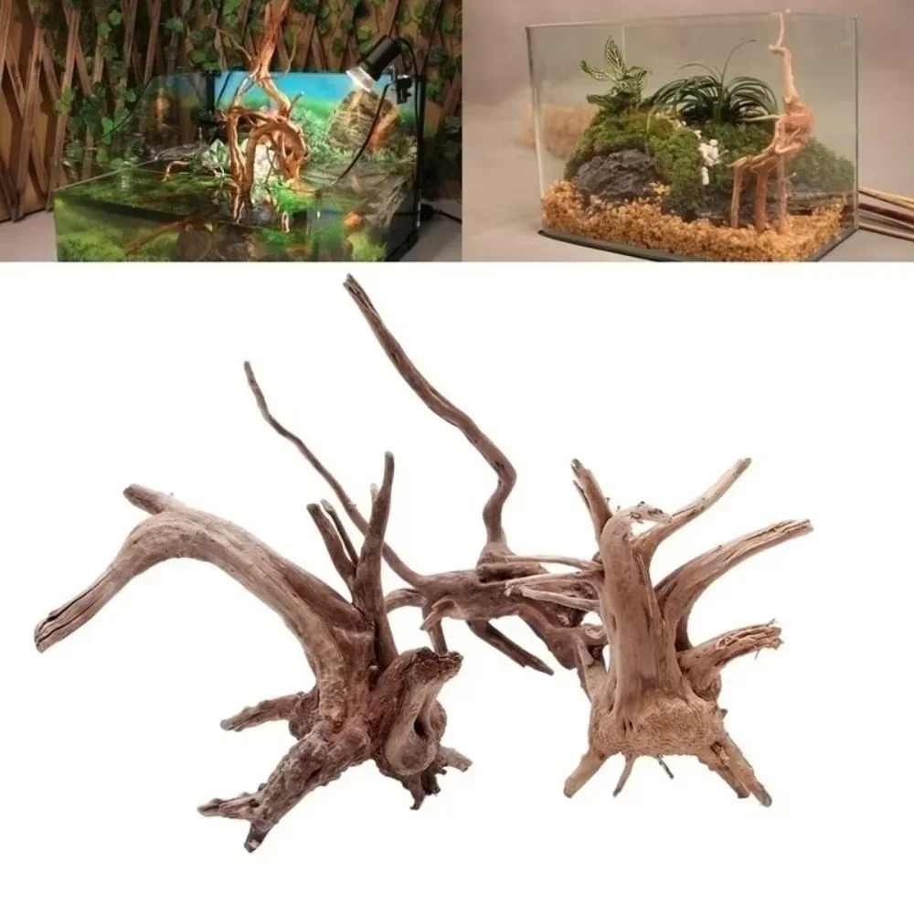 Decoração de Aquário em Madeir - Aquarium Planting Ideas avaliação e preço