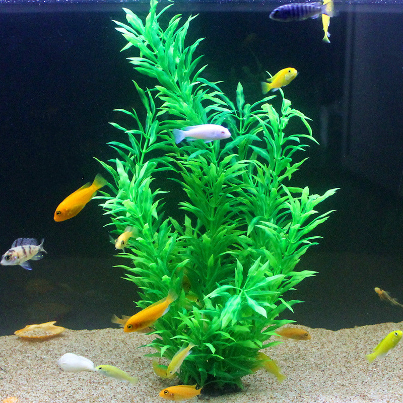 Plantas Artificiais Raras para - Aquarium Planting Ideas avaliação e preço