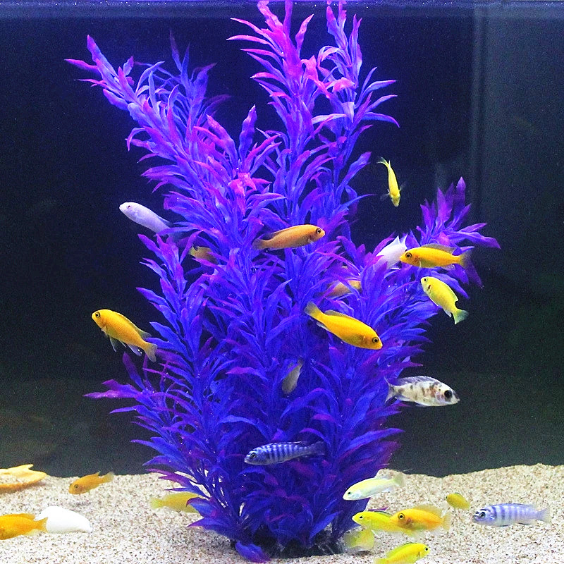 Plantas Artificiais Raras para - Aquarium Planting Ideas avaliação e preço